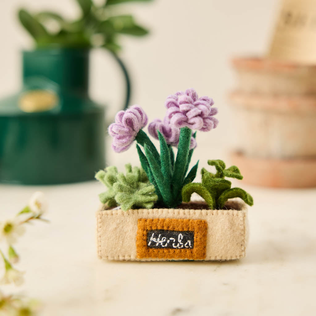 Ornement de jardin d'herbes aromatiques