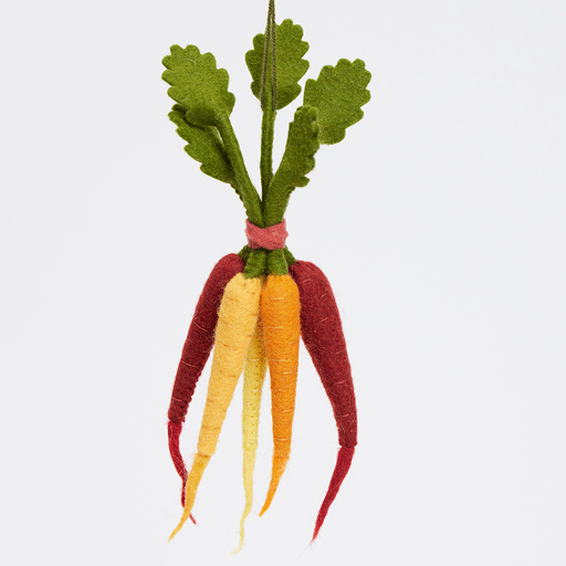 Grappe de carottes arc-en-ciel ornementale