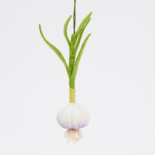 Plante d'ail ornementale